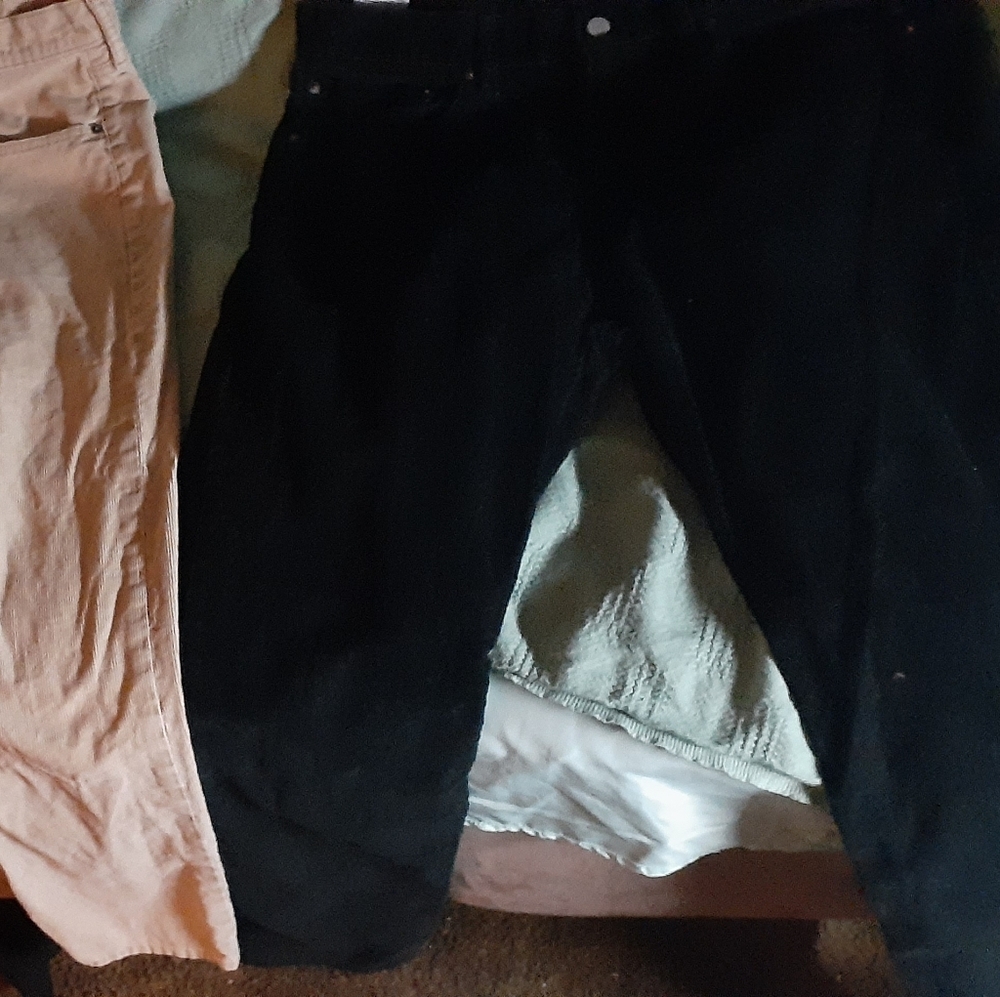 Levi  courtarory pants
